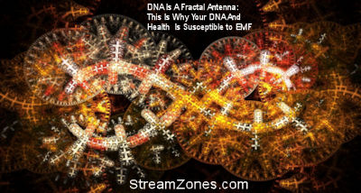 DNA IS A FRACTAL ANTENNA